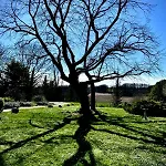 Σπίτι διακοπών La Muse Rossignol & La Palette Rossignol