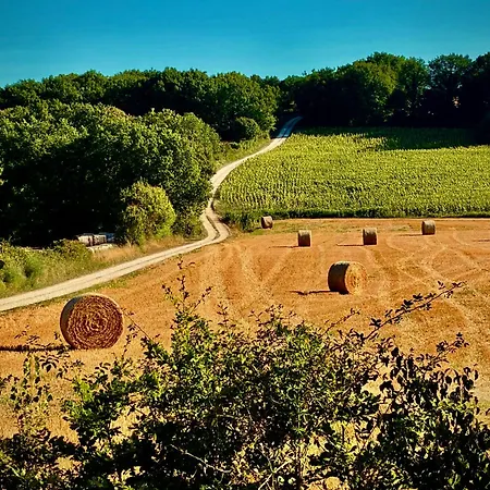 Vakantiehuis La Muse Rossignol & La Palette Rossignol *