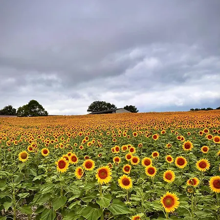 Vakantiehuis La Muse Rossignol & La Palette Rossignol *