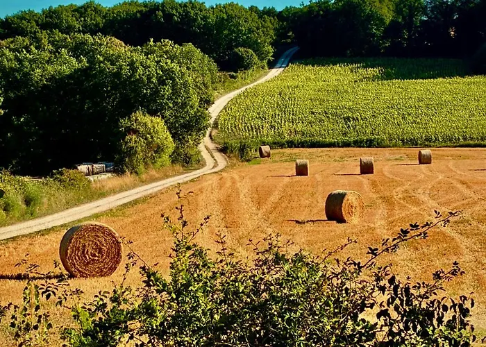 Vakantiehuis La Muse Rossignol & La Palette Rossignol *